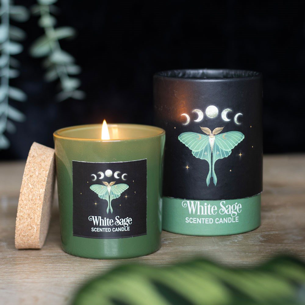 Something Different - Luna Moth White Sage Bougie Parfumée - Multicolore